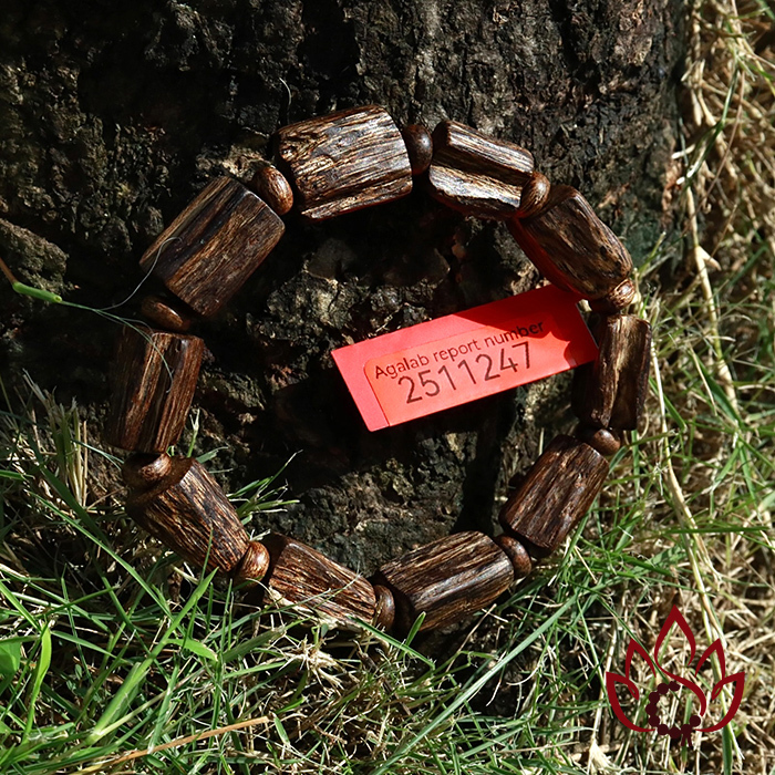 Vòng Trầm Hương Hạt Trúc Thô | Trầm Bì Rễ Cận Chìm